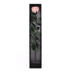 Long Stem Infinity Rose | Antique Pink | 1 Rose -Emmie Gray Store AntiquePink karton offen 1280x1280 2
