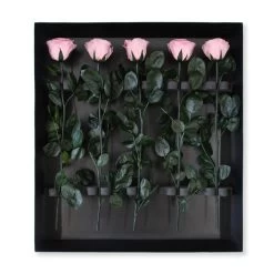 Long Stem Infinity Rose | Bridal Pink | 5 Roses 8 Long Stem Infinity Rose | Bridal Pink | 5 Roses -Emmie Gray Store Bridal Pink grosser karton offen 1280x1280 2