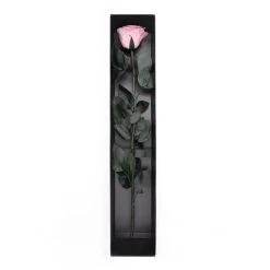 Long Stem Infinity Rose | Bridal Pink | 1 Rose -Emmie Gray Store Bridalpink karton offen 1280x1280