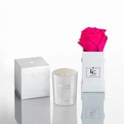 Emmie Gray Store 52 Bright Temptation Set