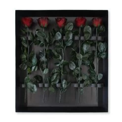 Classic Vase Set | Burgundy | 10 ROSES -Emmie Gray Store Burgundy grosser karton offen 1280x1280 4