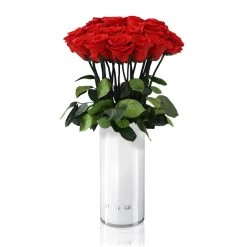 Classic Vase | White | ONE SIZE -Emmie Gray Store CLASSIC VASE WHITE Vibrantred 1280x1280