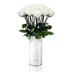 Classic Vase | White | ONE SIZE -Emmie Gray Store CLASSIC VASE WHITE purewhite 1280x1280