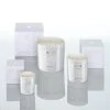 Pure Peony & Jasmine Set -Emmie Gray Store Candle Set PPJ 1280x1280