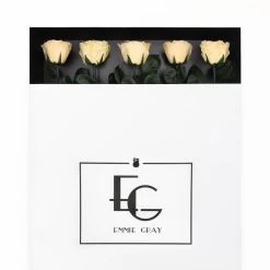 Classic Vase Set | Champagne | 10 ROSES -Emmie Gray Store Champagne grosserkarton offen final 2 1280x1280 3