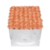 Classic Infinity Rosebox | Perfect Peach | L
