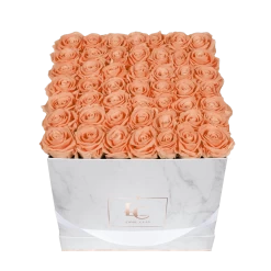 Classic Infinity Rosebox | Perfect Peach | L