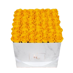 Classic Infinity Rosebox | Sunny Yellow | L