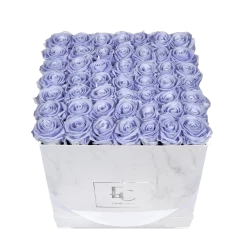 Classic Infinity Rosebox | Cool Lavender | L