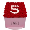 Number Infinity Rosebox | Vibrant Red & Pure White | L
