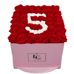 Number Infinity Rosebox | Vibrant Red & Pure White | L