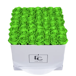 Classic Infinity Rosebox | Green Glow | L