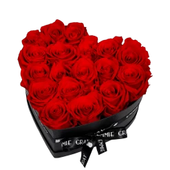 Red Overdose Set -Emmie Gray Store EMMIEGRAY MBH CLASSIC INFINITY VIBRANTRED 1280x1280