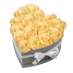 Classic Infinity Rosebox | Champagne | M