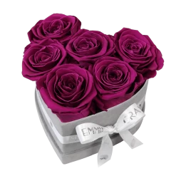 Classic Infinity Rosebox | Velvet Plum | S