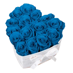 Classic Infinity Rosebox | Aquamarine | M