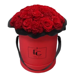 Splendid Carnation Infinity Rosebox | Vibrant Red | M