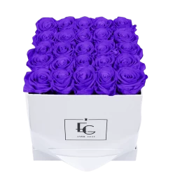 Classic Infinity Rosebox | Violet Vain | M