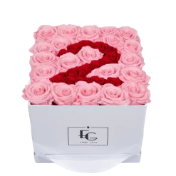 Number Infinity Rosebox | Bridal Pink & Vibrant Red | M