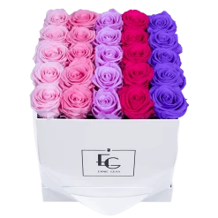 Shades Infinity Rosebox | Bridal Pink, Baby Pink, Baby Lilli, Hot Pink & Violet Vain | M