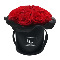 Metallic Red Decadence Set 9 Metallic Red Decadence Set -Emmie Gray Store EMMIEGRAY SBR SPLENDID INFINITY VIBRANTRED 1280x1280