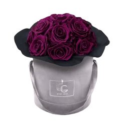 Splendid Infinity Rosebox | Velvet Plum | S