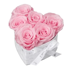 Classic Infinity Rosebox | Bridal Pink | S