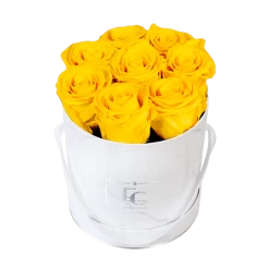 Classic Infinity Rosebox | Sunny Yellow | S