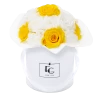 Splendid Carnation Mix Infinity Rosebox | Sunny Yellow & Pure White | S -Emmie Gray Store EMMIEGRAY SWR SPLENDID CARNATION MIX INFINITY SunnyYellow PureWhitefoCtBWgZXNzQU 1280x1280 1