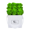 Classic Infinity Rosebox | Green Glow | S -Emmie Gray Store EMMIEGRAY SWS CLASSIC INFINITY GREENGLOW 1280x1280 2