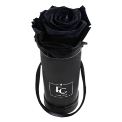 Classic Infinity Rosebox | Black Beauty | XXS