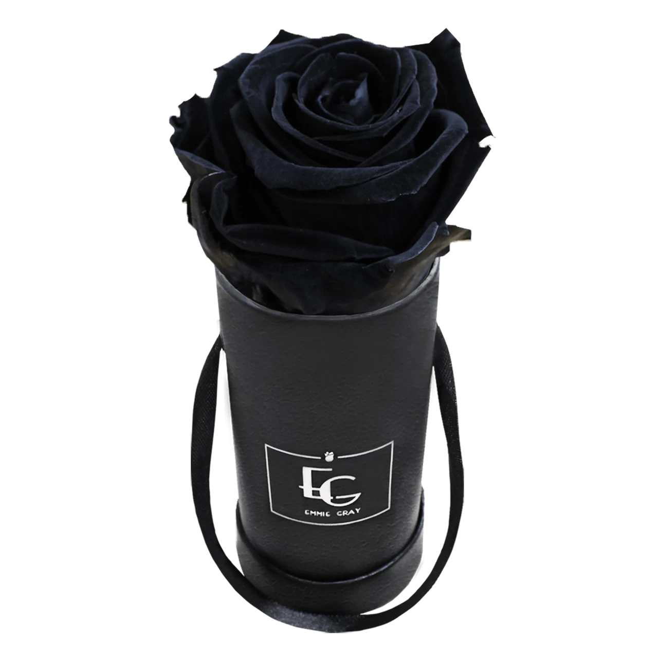 Classic Infinity Rosebox | Black Beauty | XXS 3 Classic Infinity Rosebox | Black Beauty | XXS