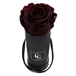 Classic Infinity Rosebox | Burgundy | XXS