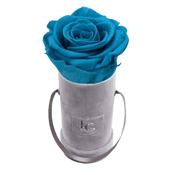 Classic Infinity Rosebox | Aquamarine | XXS