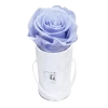 Classic Infinity Rosebox | Cool Lavender | XXS -Emmie Gray Store EMMIEGRAY TMSR CLASSIC INFINITY COOLLAVENDER 1280x1280 1