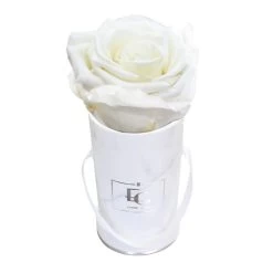 Classic Infinity Rosebox | Pure White | XXS