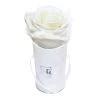 Classic Infinity Rosebox | Pure White | XXS