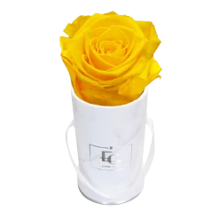 Classic Infinity Rosebox | Sunny Yellow | XXS