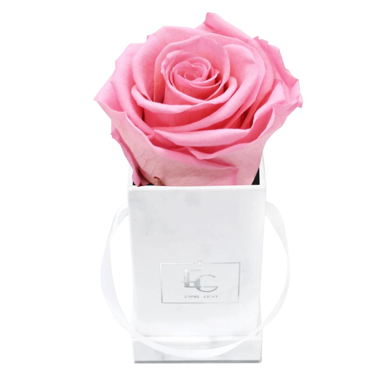 Classic Infinity Rosebox | Bridal Pink | XXS 3 Classic Infinity Rosebox | Bridal Pink | XXS