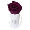 Classic Infinity Rosebox | Velvet Plum | XXS -Emmie Gray Store EMMIEGRAY TWR CLASSIC INFINITY VELVETPLUM 1280x1280