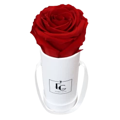 Metallic Red Element Set -Emmie Gray Store EMMIEGRAY TWR CLASSIC INFINITY VIBRANTRED 1280x1280