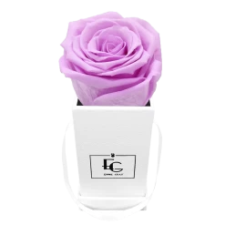 Classic Infinity Rosebox | Baby Lilli | XXS