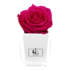 Emmie Gray Store -Emmie Gray Store EMMIEGRAY TWS CLASSIC INFINITY HOTPINK 1280x1280