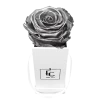 Classic Infinity Rosebox | Silver | XXS -Emmie Gray Store EMMIEGRAY TWS CLASSIC INFINITY SILVER 1280x1280