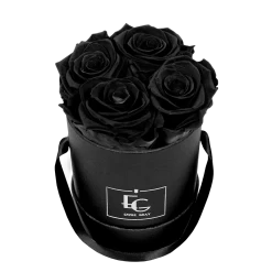 Metallic Midnight Glow Set -Emmie Gray Store EMMIEGRAY XBR CLASSIC INFINITY BLACKBEAUTY 1280x1280 2