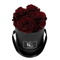 Classic Infinity Rosebox | Burgundy | XS