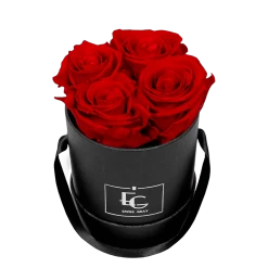 Metallic Wooded Bliss Set 8 Metallic Wooded Bliss Set -Emmie Gray Store EMMIEGRAY XBR CLASSIC INFINITY VIBRANTRED 1280x1280