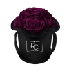 Splendid Infinity Rosebox | Velvet Plum | XS