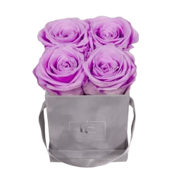 Pastel Confession Set 7 Pastel Confession Set -Emmie Gray Store EMMIEGRAY XGS CLASSIC INFINITY BABYLILLI 1280x1280