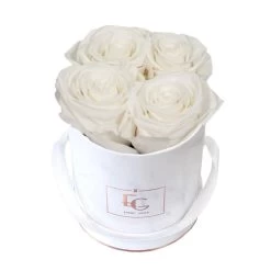 Emmie Gray Store -Emmie Gray Store EMMIEGRAY XMRR CLASSIC INFINITY PureWhite 1280x1280 1